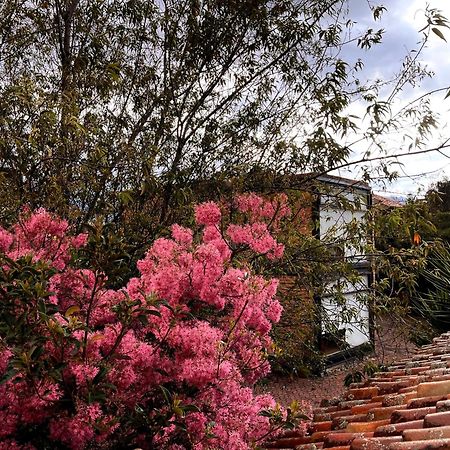 Casa Lloret Cuenca Esterno foto
