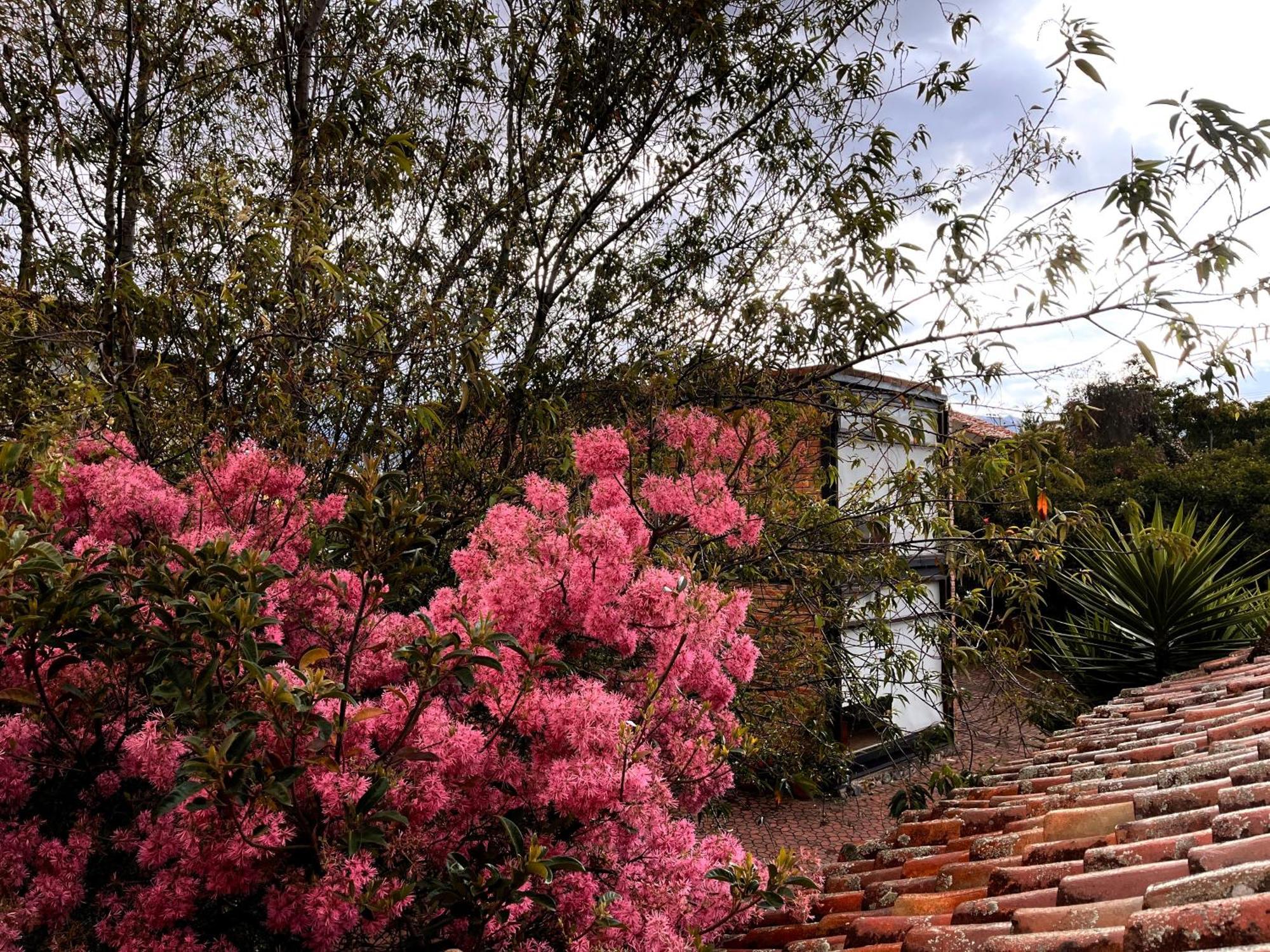 Casa Lloret Cuenca Esterno foto